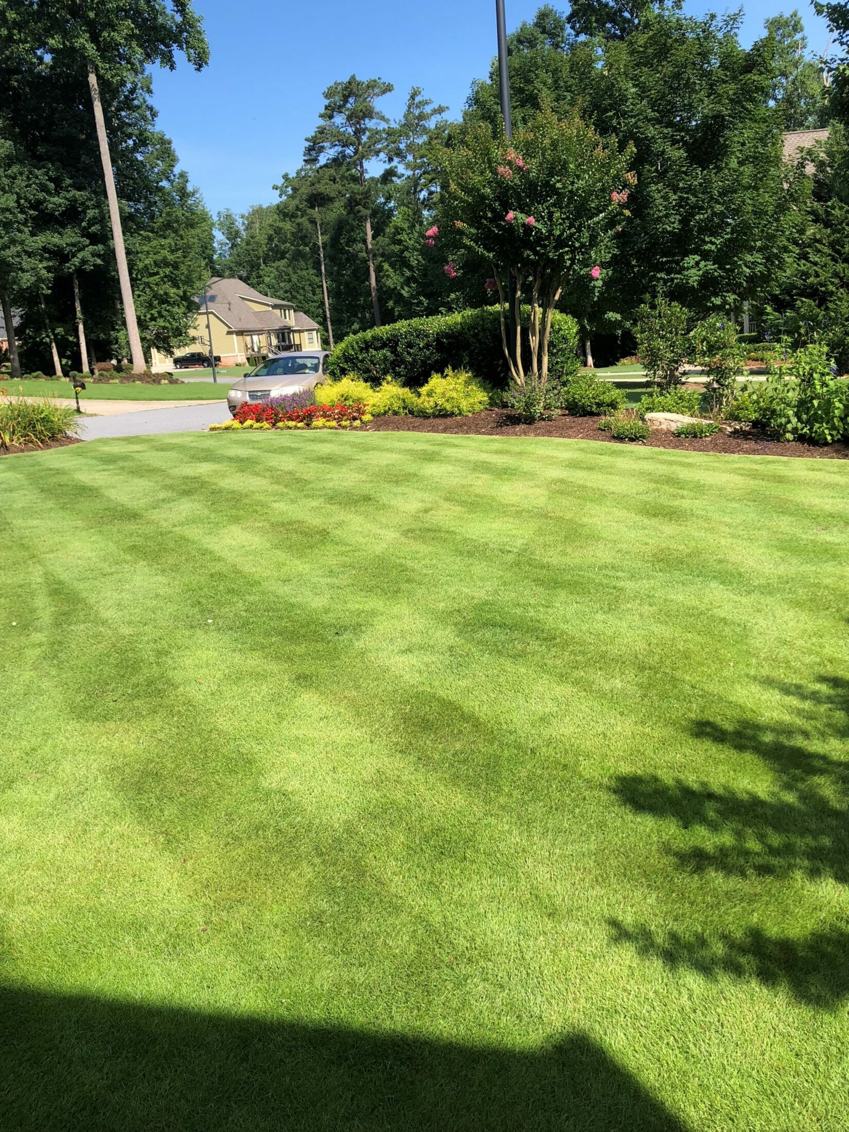 Why Soil3 is great for New Lawn Prep