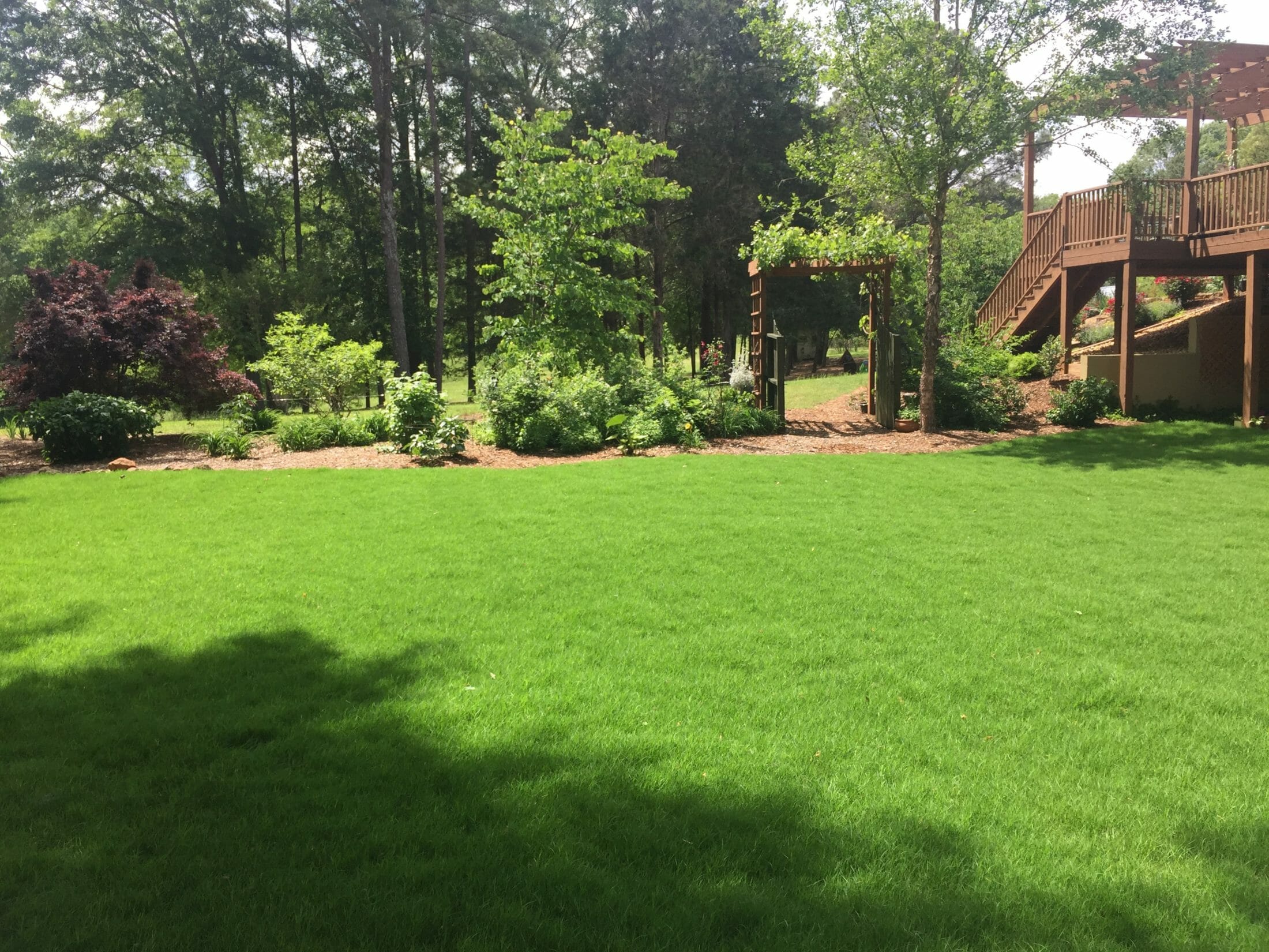 How to Prepare a New Lawn