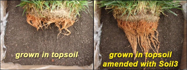 root comparison
