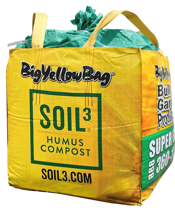 2020_Big_Yellow_Bag