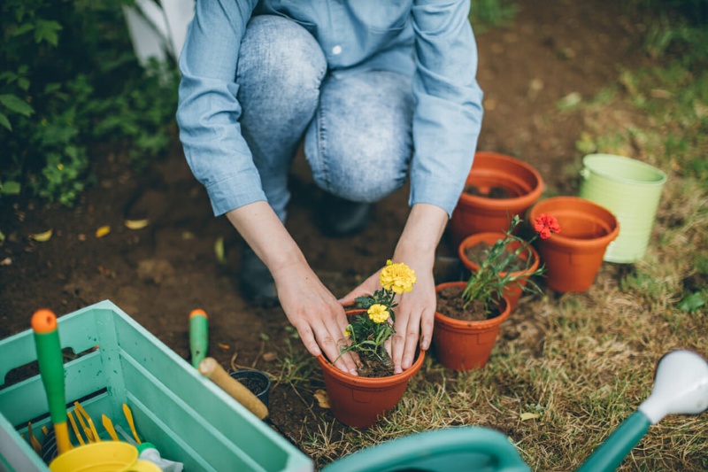 woman planting flowers