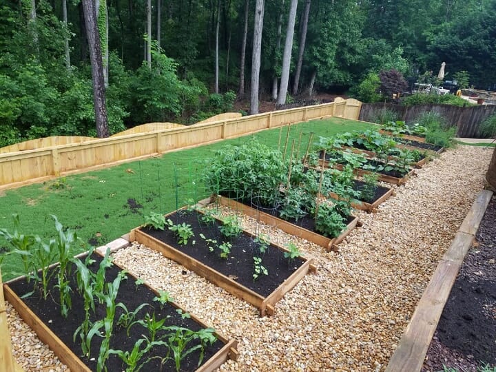 raised garden beds