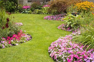 FLOWER BED SOIL