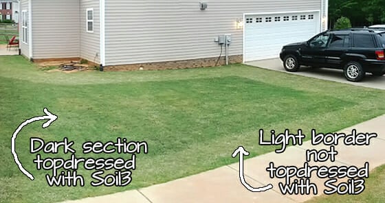 how to top dress a lawn